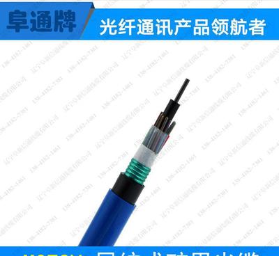 MGTSV-48A矿用阻燃光缆 48芯层绞式多模光缆厂家价格与图片指南